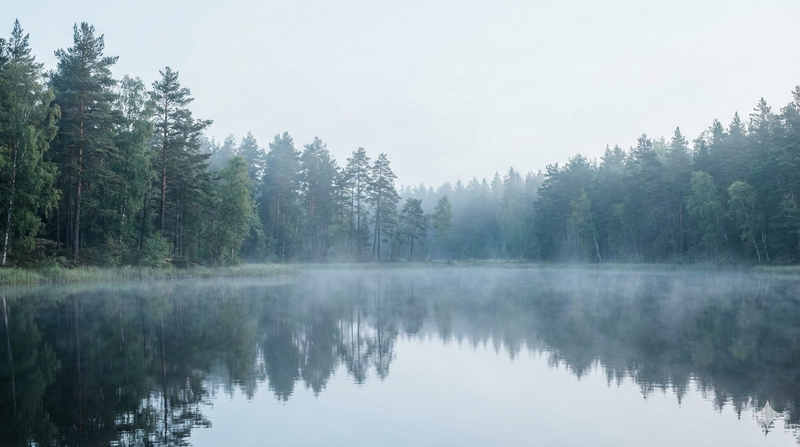 QAURA Stimmung Nebel See