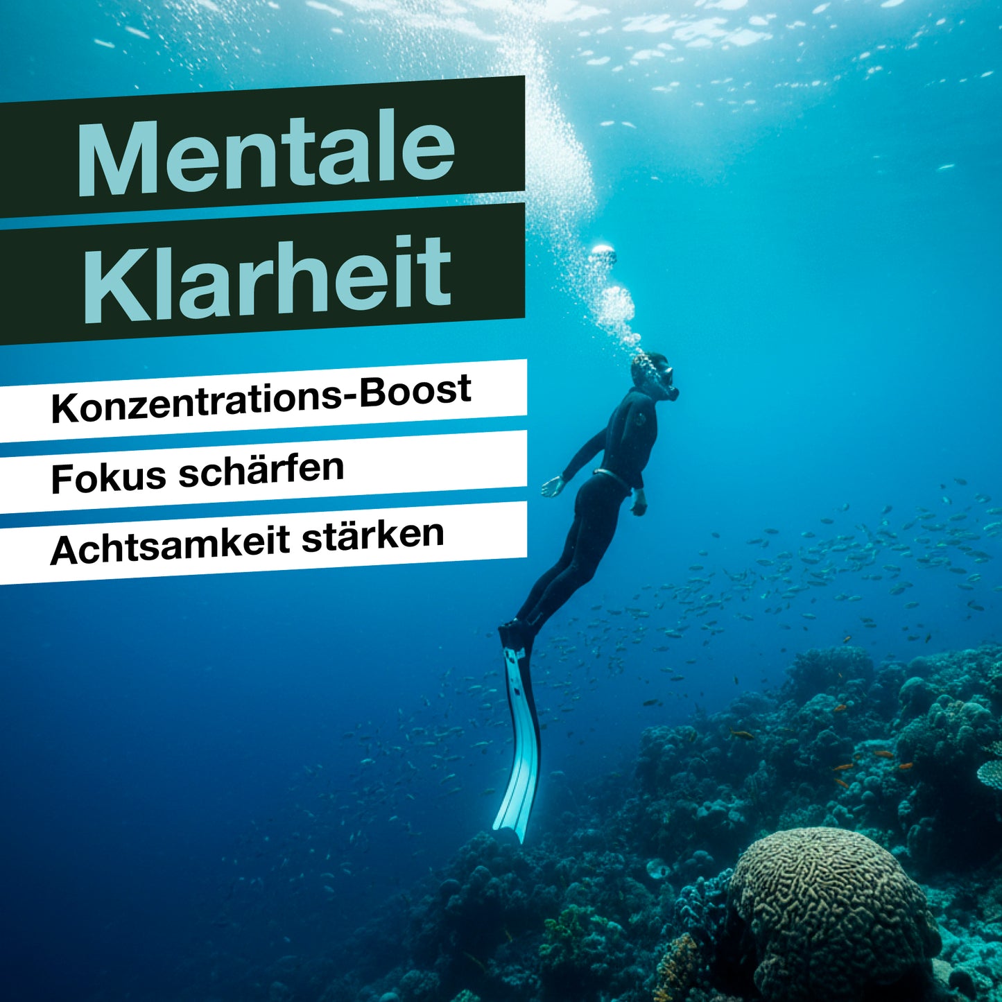 Lifestyle Bild von QAURA ein Taucher mit Flossen im Neoprenanzug taucht im Meer bei einem Schwarm kleiner Fische, mentale Klarheit, Konzentrations-Boost, Fokus schärfen, Achtsamkeit stärken