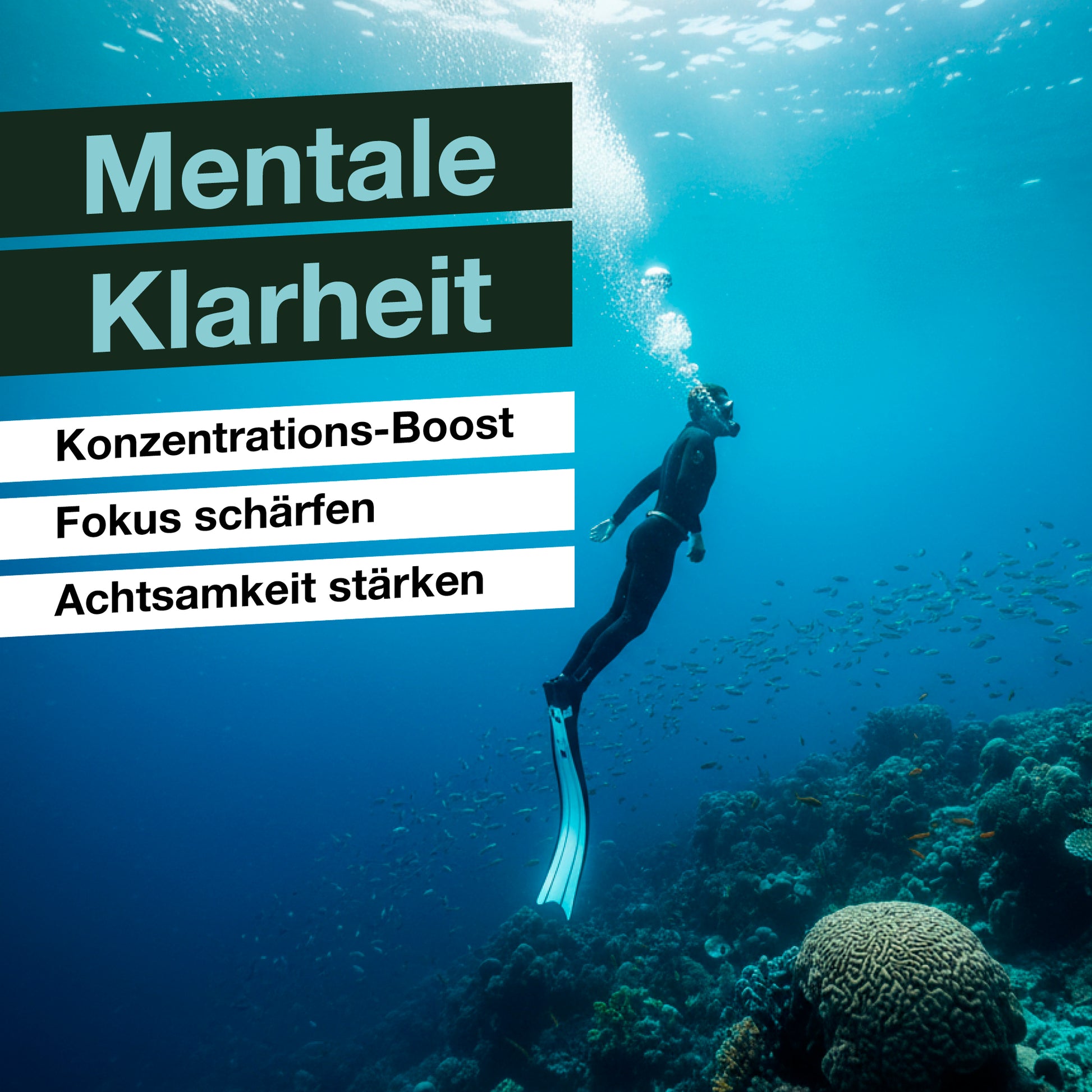 Lifestyle Bild von QAURA ein Taucher mit Flossen im Neoprenanzug taucht im Meer bei einem Schwarm kleiner Fische, mentale Klarheit, Konzentrations-Boost, Fokus schärfen, Achtsamkeit stärken